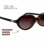 Óculos Clip-On Feminino Oval Evolve Retrô Marrom Escuro Degradê