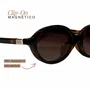 Óculos Clip-On Feminino Oval Evolve Retrô Tartaruga