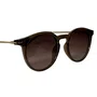 Óculos de sol feminino Evolve, modelo Redondo em Marrom Translúcido